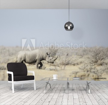 Picture of Black Rhino walking through the veldt